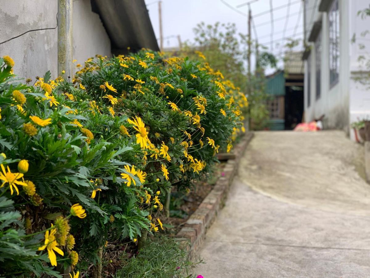 The 1996 House Hotel Lào Cai Ngoại thất bức ảnh